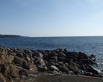 伊豆202303ムラソイ 景色.jpg