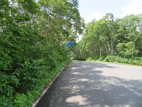 十和田 さあ山頂へ.jpg