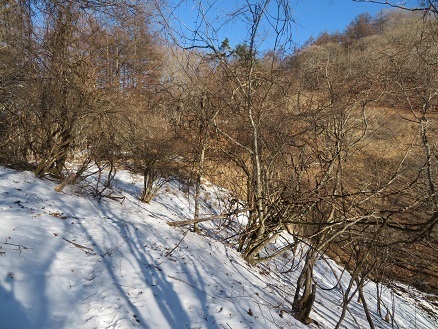 升形花咲御前山 トラバースの際少し雪道がある.jpg