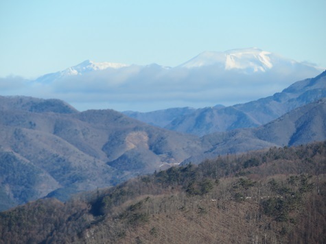 升形花咲御前山 升形山の山頂岩から 浅間山アップ.jpg