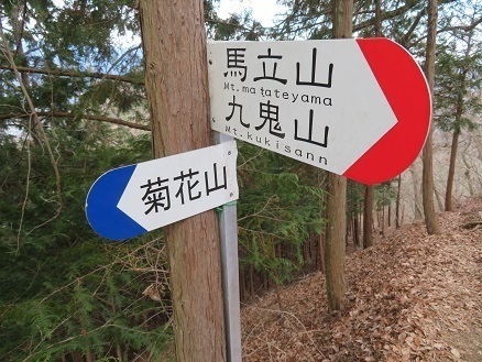 升形花咲御前山 御前山の尾根に乗った 分岐はまず右へ.jpg