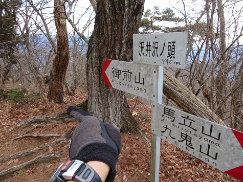 升形花咲御前山 沢井沢ノ頭.jpg