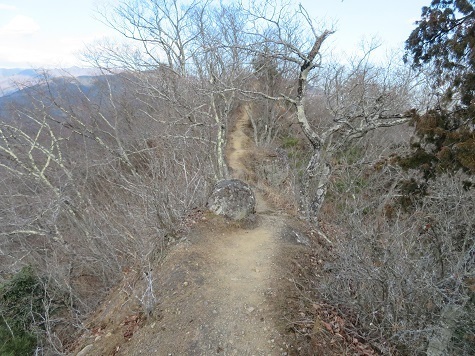 升形花咲御前山 稜線に乗った この山初のハイカー4人とすれ違う.jpg