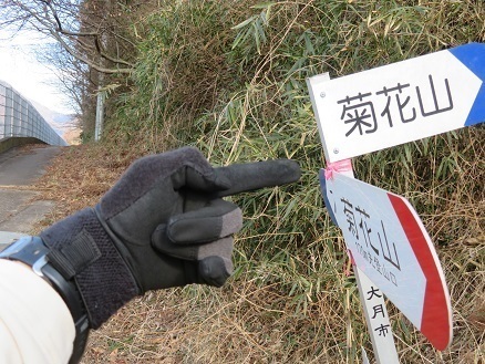 升形花咲御前山 菊花山のスタートです.jpg