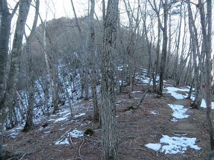 升形花咲御前山 黒富士直下 雪は思いのほか無い.jpg