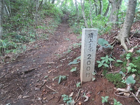 名久井 あと200m .jpg