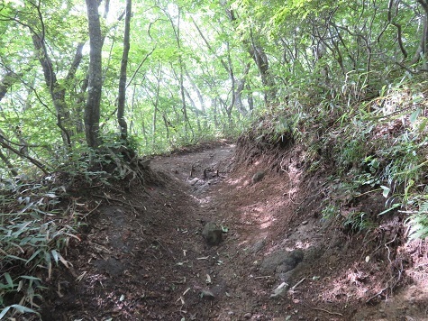 名久井 ここを登れば.jpg