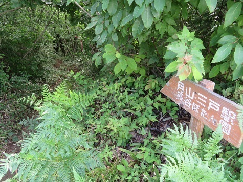 名久井 三戸駅方面.jpg