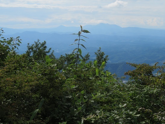名久井 十和利山 戸来岳方.jpg