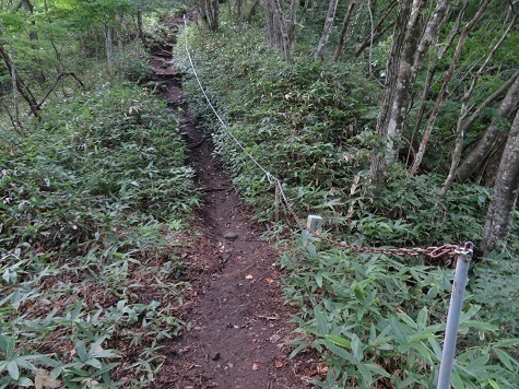 名久井 距離は短いが登りが.jpg