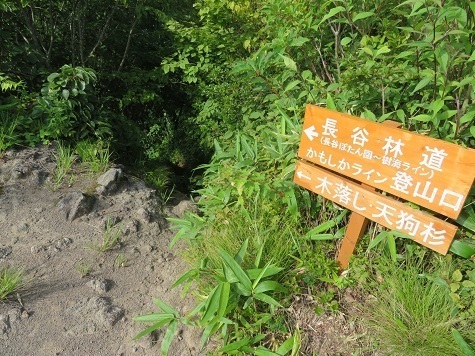 名久井 長谷川林道登山口方面.jpg