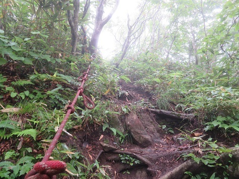 大尽山 ロープが設置されて.jpg
