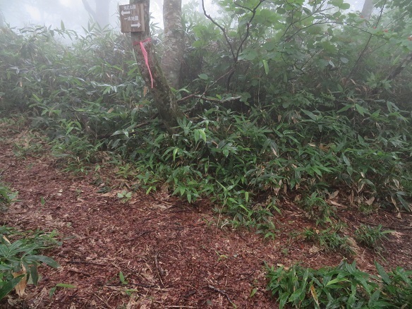 大尽山 一体地蔵との分岐.jpg
