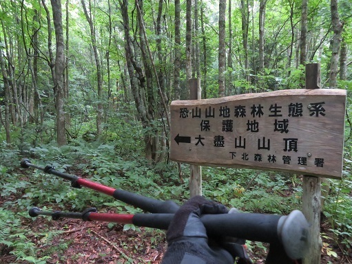 大尽山 大尽山登山口か.jpg
