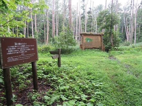 大尽山 大平分岐.jpg