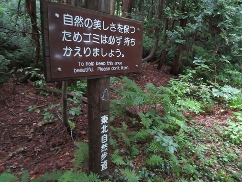 大尽山 東北自然歩道.jpg