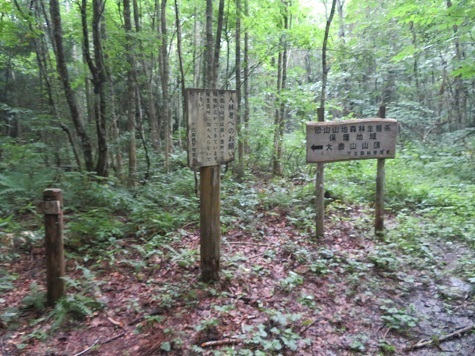 大尽山 熊が出ないか注意だ.jpg