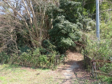 天園~三浦富士 ここから山道へ.jpg