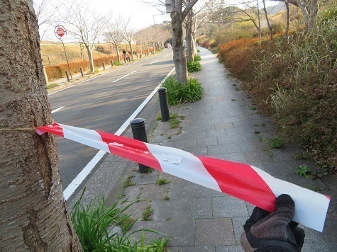 天園~三浦富士 やや退屈な山道を抜け町中に.jpg
