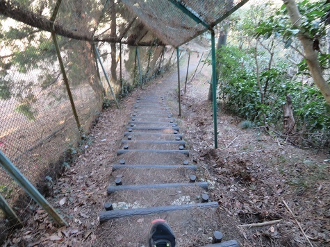 天園~三浦富士 ゴルフ場横を降って.jpg