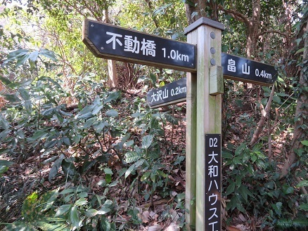 天園~三浦富士 不動橋に向けて.jpg