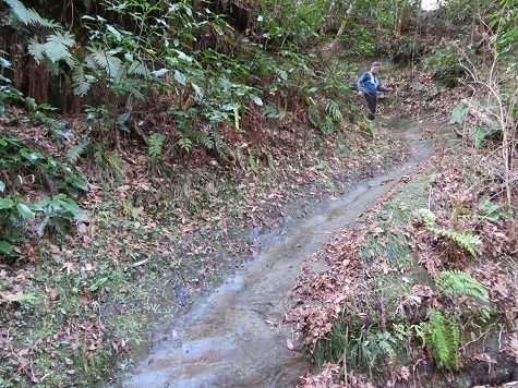 天園~三浦富士 右手に涸沢みたいなのがあた.jpg