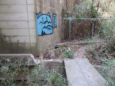 天園~三浦富士 怪しいペイントの橋を.jpg