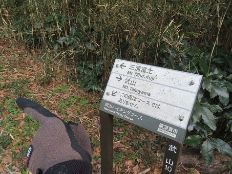 天園~三浦富士 最後のピーク三浦富士へ.jpg