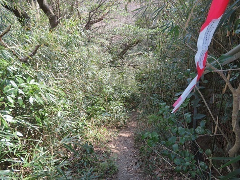 天園~三浦富士 木古庭橋を渡り.jpg