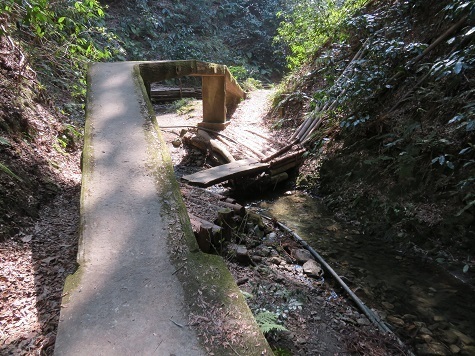 天園~三浦富士 木道からコンクリ橋.jpg