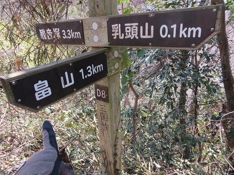 天園~三浦富士 次は畠山.jpg