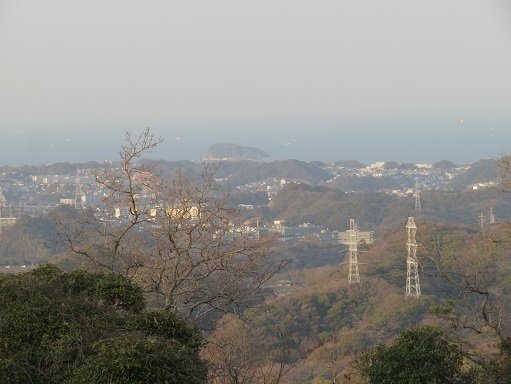 天園~三浦富士 猿島が見えた.jpg