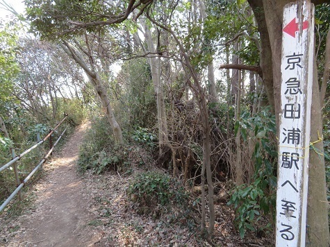 天園~三浦富士 田浦駅方面.jpg