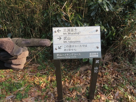 天園~三浦富士 稜線に出て武山に.jpg