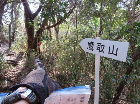 天園~三浦富士 良い場所に鷹取山標識.jpg