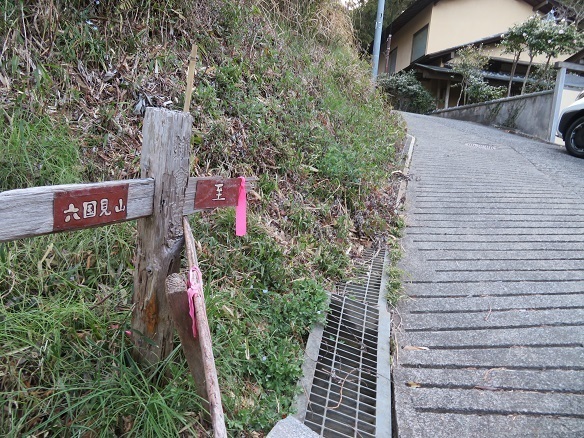 天園~三浦富士 鎌倉古道の至方面へ.jpg