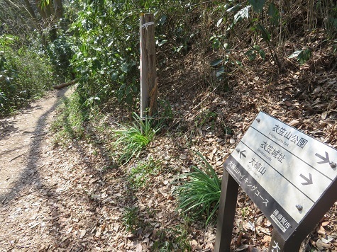 天園~三浦富士 阿部倉コース入口.jpg