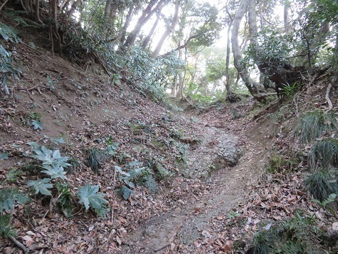 天園~三浦富士 NTT前を入って登山道に.jpg