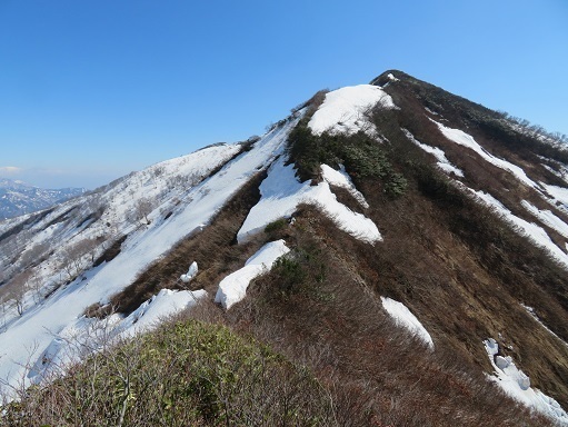 川内山塊銀太郎_矢筈 ほとんど藪漕.jpg