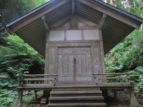 折戸山 脇から適当に登る.jpg