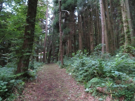折戸山 鳥居を潜りまずは.jpg
