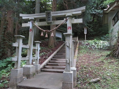 折戸山 鳥居を登る.jpg