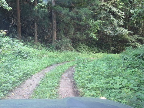折爪岳 ナビされ断念 戻ります.jpg