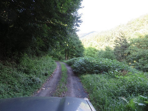 折爪岳 山へ向かう途中.jpg