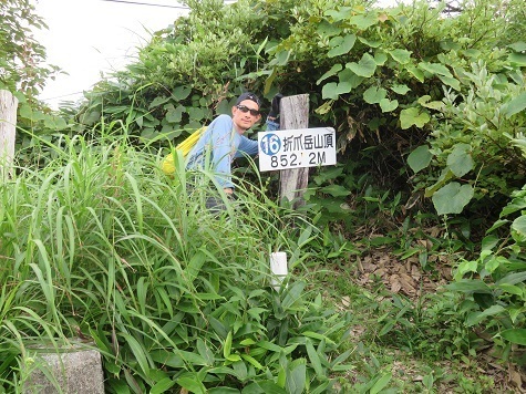 折爪岳 折爪岳.jpg