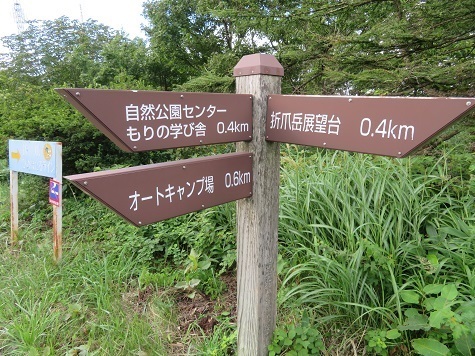 折爪岳 指導標が無いが左へ.jpg