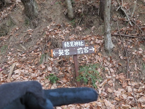 旭山(山梨)30分かけて再び分岐に到着.jpg
