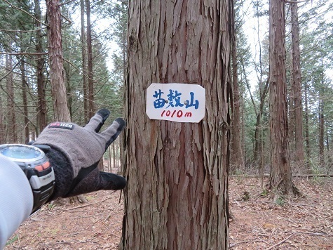 旭山(山梨)あれっ?こっちにも苗敷山標識.jpg