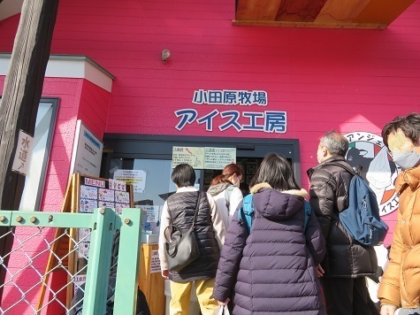 曽我梅林 この日は気温14度と暖かかったのでアイス工房もこの込みよう.jpg