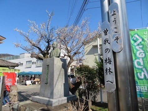 曽我梅林 ようこそ曽我の梅林へ.jpg